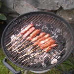 souvlaki