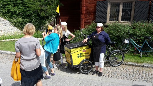 Almedalen1