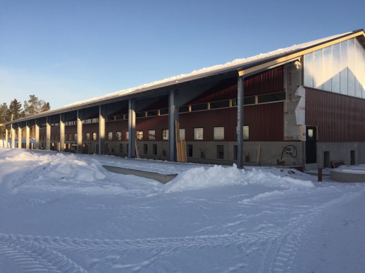 Nytt stall för ekologisk gris