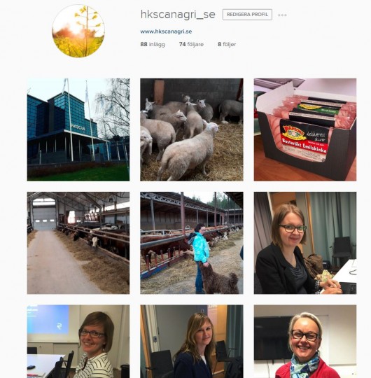 Insta_v17