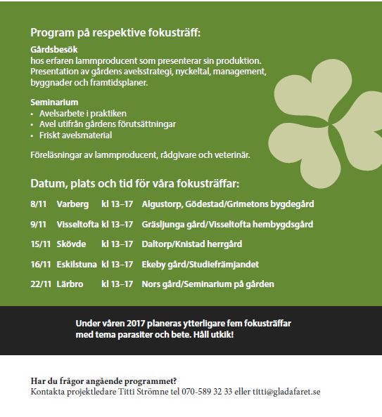 Fokustraffar_1611