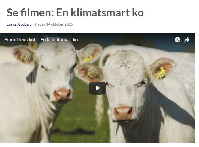 framtidenskott_film_kossor