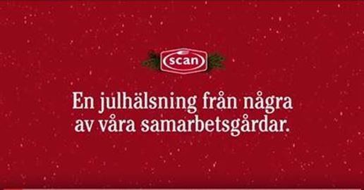 Scan_julhalsn